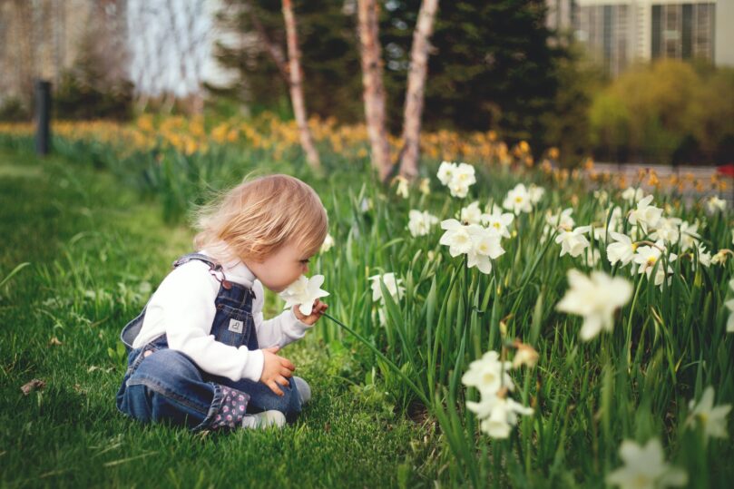 The Child-Bouquet to Learn a Language