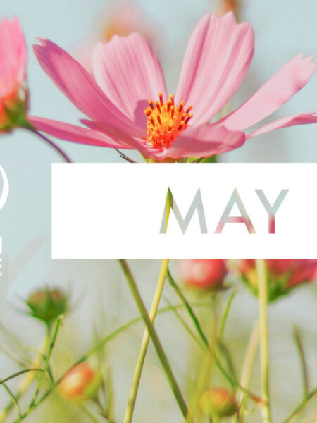 Discover May’s Highlights with VOX!